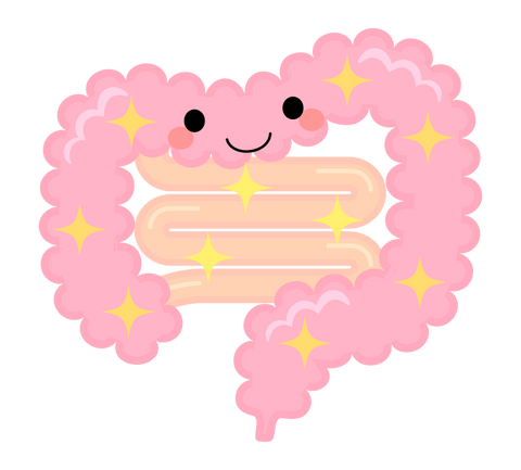 意外に豊富な食物繊維